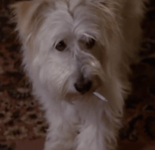 Screen Shot 2014-09-29 at 9.10.32 PM